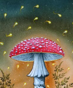 Glowing Fairies arount the enchanted mushroom