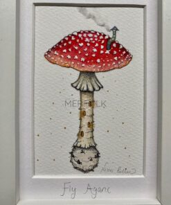fly agaric close up