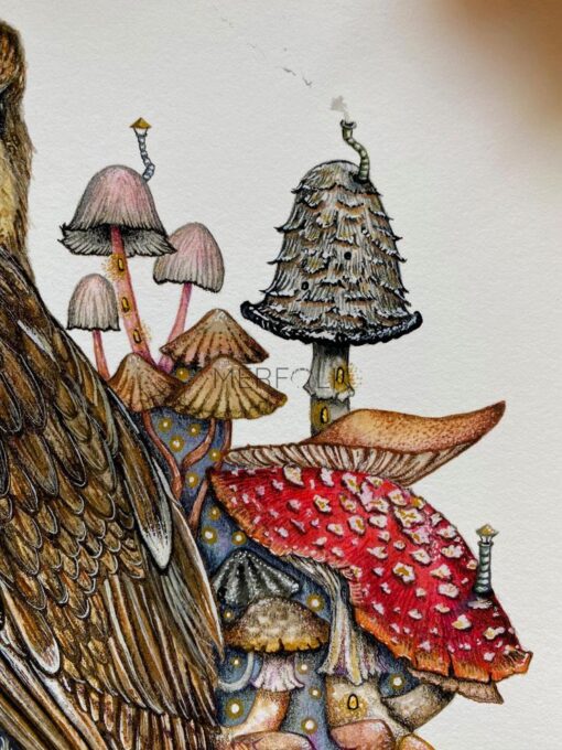 owl and fairy mushrooms close 2