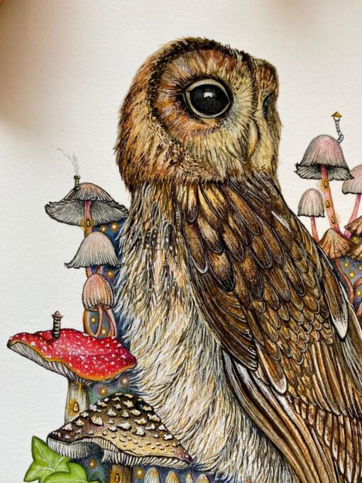 Owl and fairy mushrooms close 1