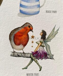fairy spotter's guide winter fairy