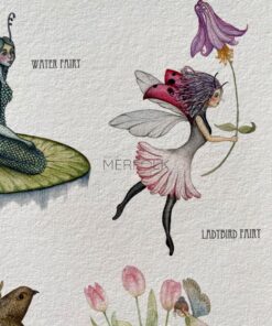 fairy dpotter's guide ladybird fairy