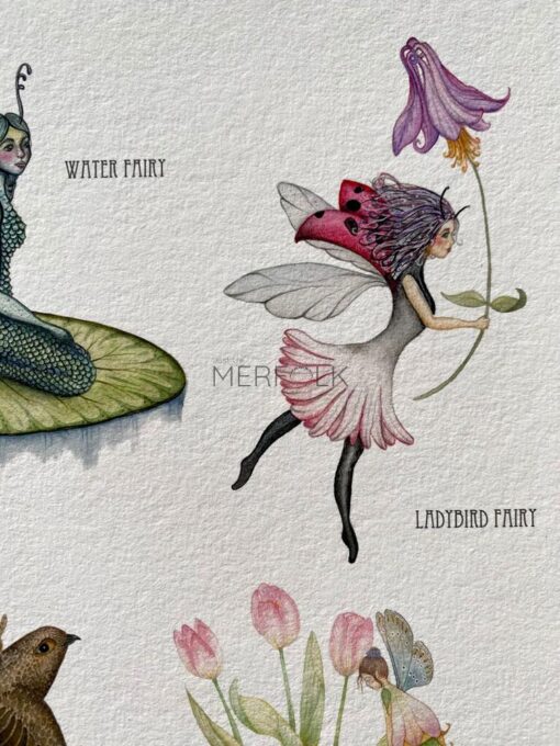 fairy dpotter's guide ladybird fairy