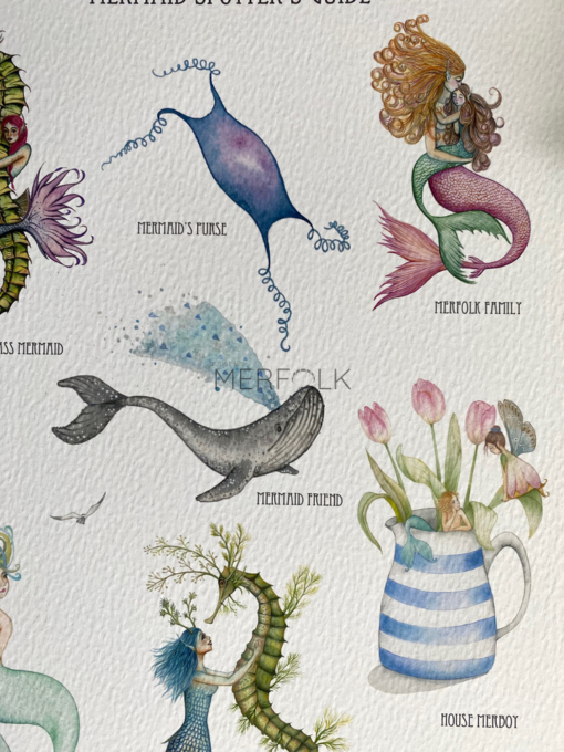 mermaid spotters guide a4 print with humpback whale, mermaids purse and mermaids