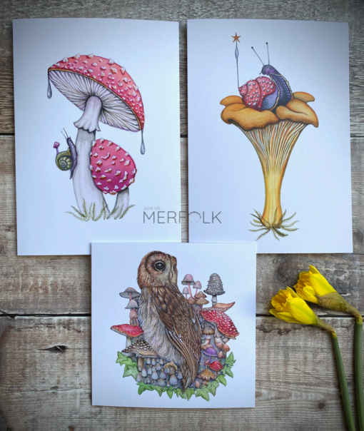 Collection of mushroom and owl cards