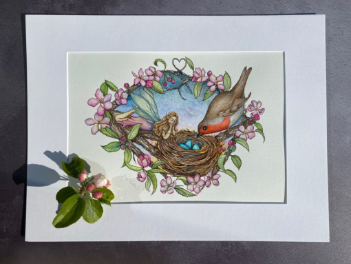 robin and fairy with nest in apple blossom. Mounted original watercolour artwork.