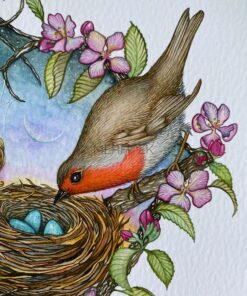 watercolour print robin bird