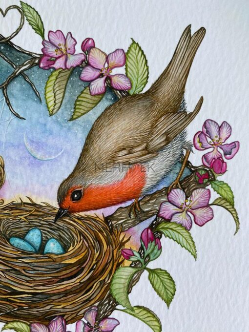 watercolour print robin bird