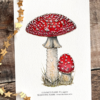 Fly agaric mushroom a5 print with common and scientific name.