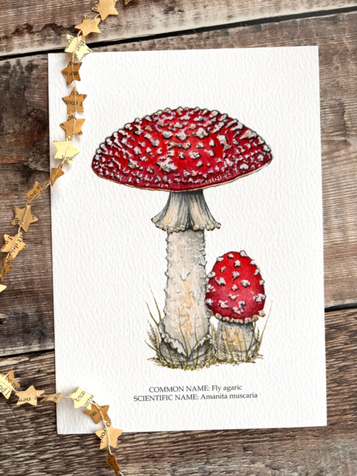 Fly agaric mushroom a5 print with common and scientific name.