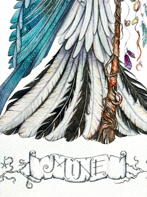 magpie treasure "mine" illustration